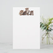 Kittens en meer Kittens Briefpapier (Staand voorkant)