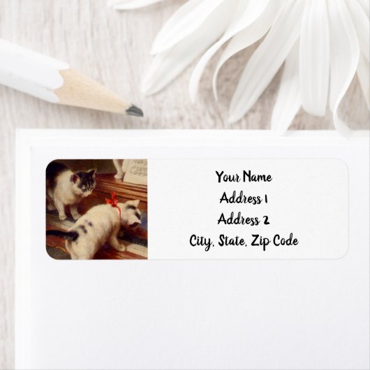 Kittens en Piano Etiket (Insitu)