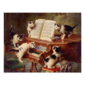 Kittens en Piano Foto Afdruk (Voorkant)