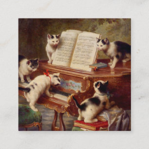 Kittens en Piano Informatiekaartje