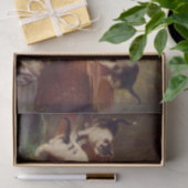 Kittens en Piano Tissuepapier (Geschenk)