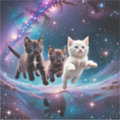 Kittens en ruimte sticker (Voorkant)