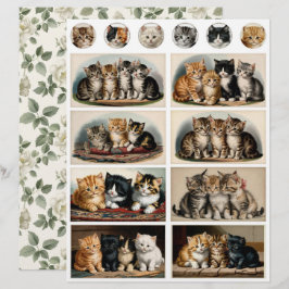 Kittens Ephemera in Vintage Stijl met Zorgvuldige 