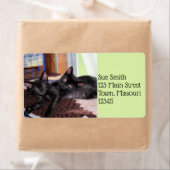 Kittens Etiket (Insitu)