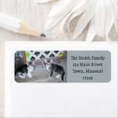 Kittens Etiket (Insitu)