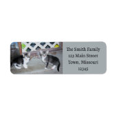 Kittens Etiket (Voorkant)