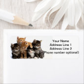 kittens etiket (Insitu)