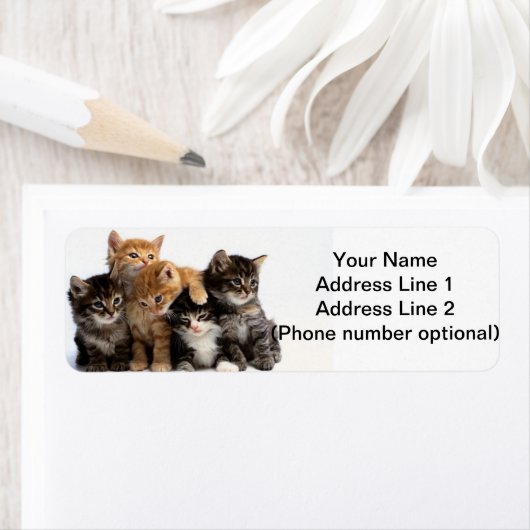 kittens etiket (Insitu)