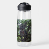 Kittens First Tree Topjes Adventure Waterfles (Voorkant)