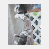Kittens Fleece Deken (Voorkant)