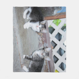 Kittens Fleece Deken
