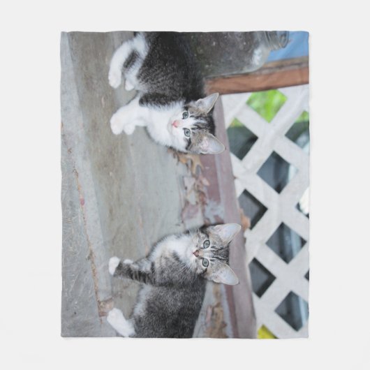 Kittens Fleece Deken (Voorkant)