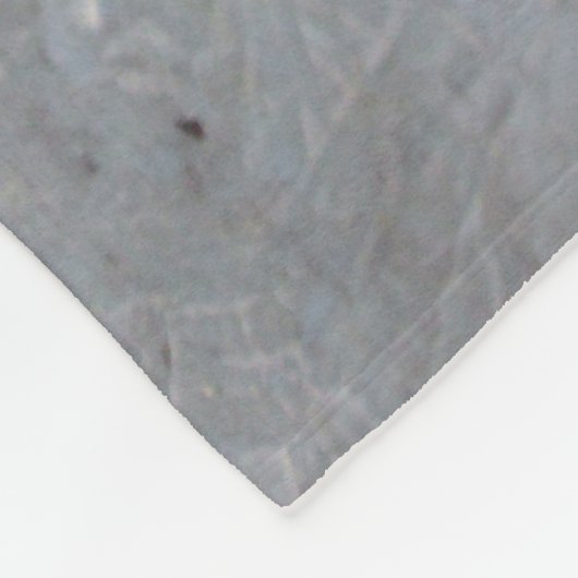 Kittens Fleece Deken (Hoek)