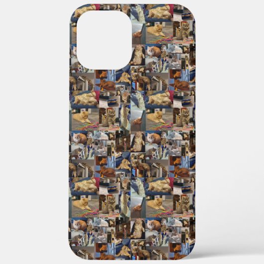 Kittens-fotocollage afspelen, Case-Mate iPhone case (Achterkant)