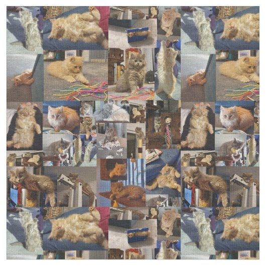 Kittens Fotocollage, Stof (Close Up)