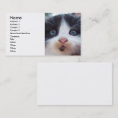 Kittens Gezicht Visitekaartje (Voorkant / Achterkant)