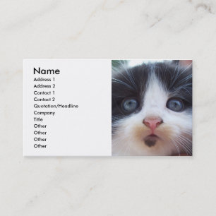Kittens Gezicht Visitekaartje