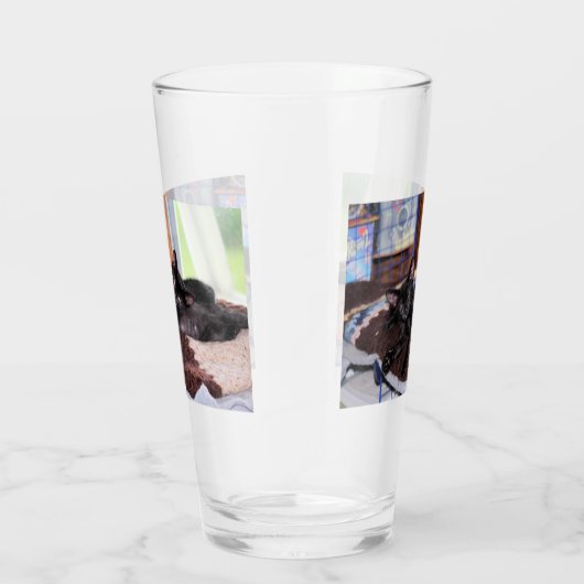 Kittens Glas (Rechts)