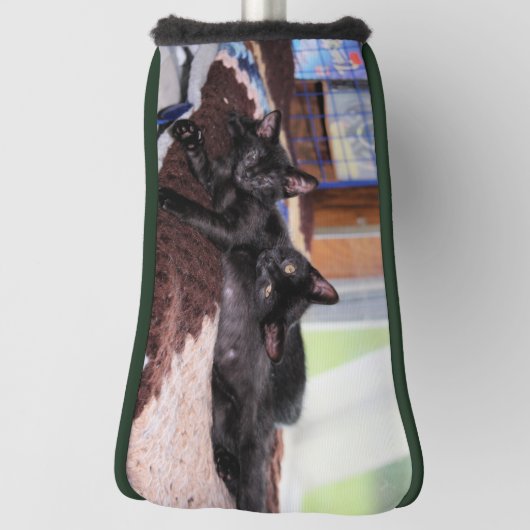 Kittens Golf Head Hoesje Golfheadcover (Draai 90)