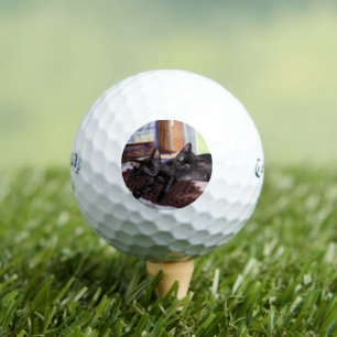Kittens Golfballen