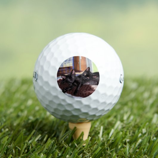 Kittens Golfballen (Insitu Shirt)