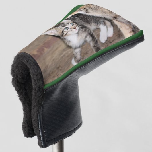 Kittens Golfheadcover (3/4 voorkant)