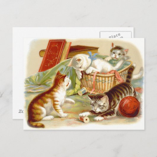  kittens hebben plezier Briefkaart (Voorkant / Achterkant)