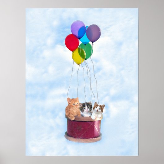 Kittens Hot Air-ballon afdrukken Poster (Voorkant)