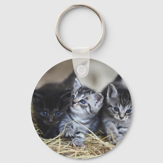 Kittens, huisdieren, katachtigen sleutelhanger (Voorkant)