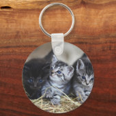 Kittens, huisdieren, katachtigen sleutelhanger (Achterkant)