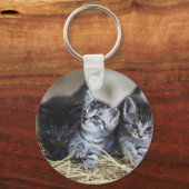 Kittens, huisdieren, katachtigen sleutelhanger (Voorkant)