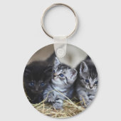Kittens, huisdieren, katachtigen sleutelhanger (Achterkant)