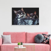 Kittens in container canvas afdruk (Insitu (Woonkamer))