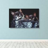 Kittens in container canvas afdruk (Insitu (Houten vloer))