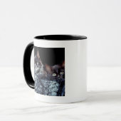 Kittens in container mok (Voorkant links)