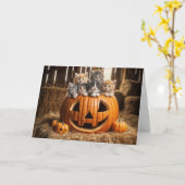 Kittens in de schuur Halloween pompoen Kaart (Gele Bloem)