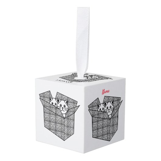 Kittens in een Box Thunder_Cove Decoratie (Voorkant hoekig)