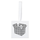 Kittens in een Box Thunder_Cove Decoratie (Voorkant)