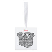 Kittens in een Box Thunder_Cove Decoratie (Rechts)