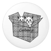 Kittens in een Box Thunder_Cove Keramische Knop (Voorkant)