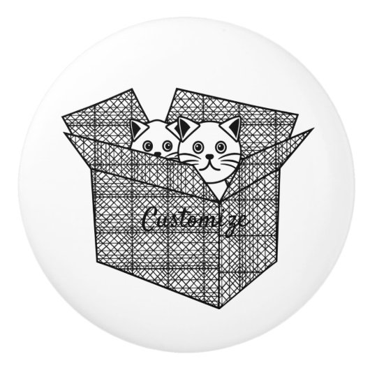 Kittens in een Box Thunder_Cove Keramische Knop (Voorkant)