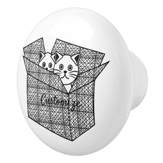 Kittens in een Box Thunder_Cove Keramische Knop (Rechts)