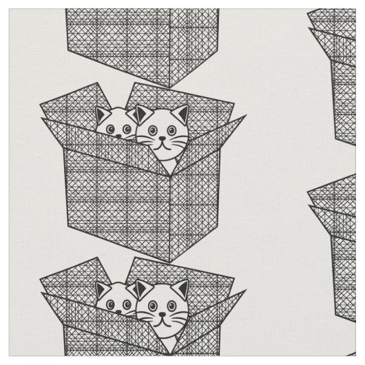 Kittens in een Box Thunder_Cove Stof (Close Up)