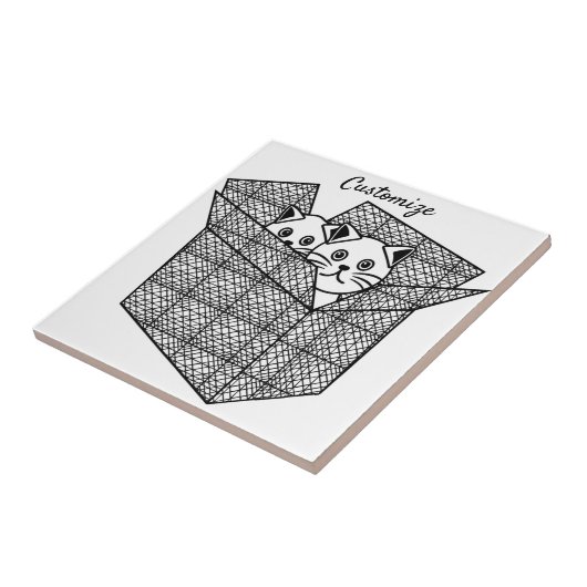 Kittens in een Box Thunder_Cove Tegeltje (Zijkant)