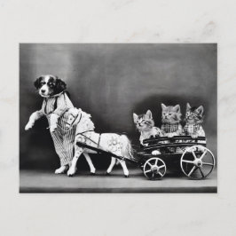 Kittens in een Carriage Briefkaart
