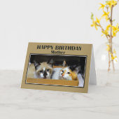 Kittens in een doos moeder Happy Birthday Kaart (Gele Bloem)