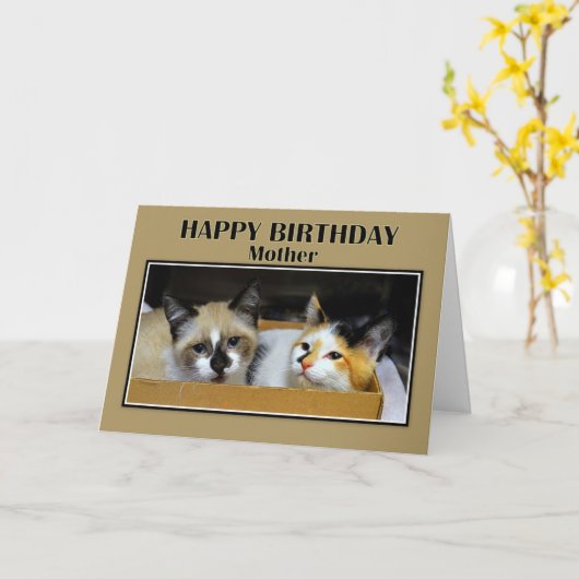 Kittens in een doos moeder Happy Birthday Kaart (Gele Bloem)