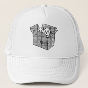 Kittens in een doos Thunder_Cove Trucker Pet