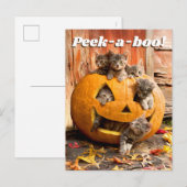 Kittens in een Jack-o-Lantern Uitnodiging Briefkaart (Voorkant / Achterkant)