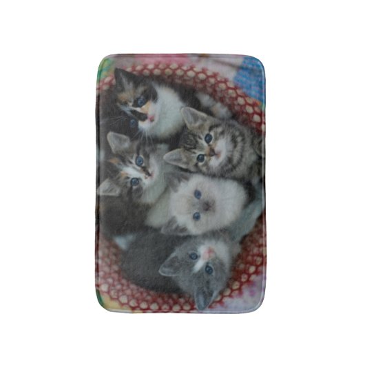 Kittens in een mandje badmat (Voorkant Verticaal)